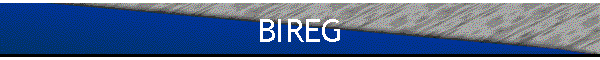 BIREG