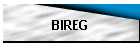 BIREG
