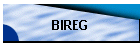 BIREG