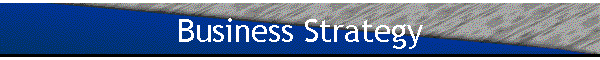 Business Strategy